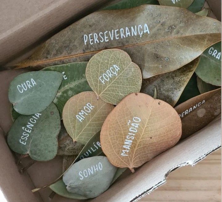 Como conectar-se com sua essência para alcançar a plenitude