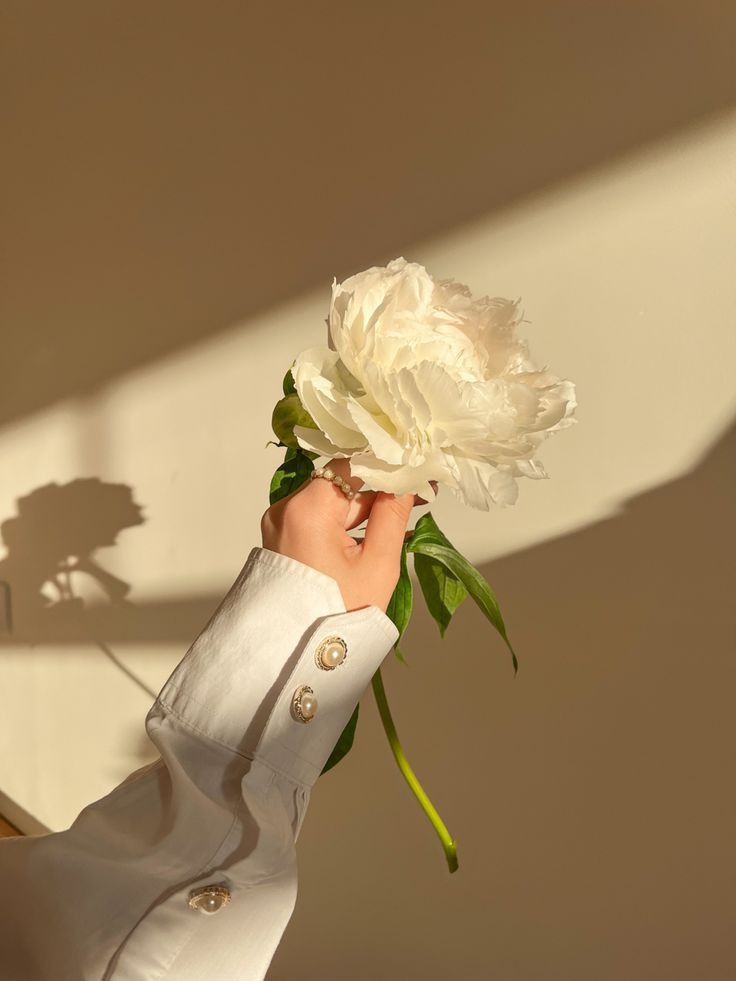 Autonomia Emocional Feminina: Como se Libertar da Dependência Emocional e Assumir o Controle da Sua Vida